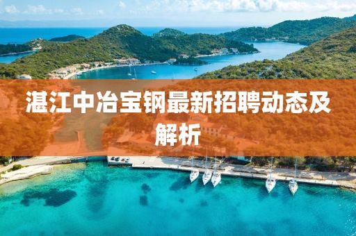 湛江中冶宝钢最新招聘动态及解析