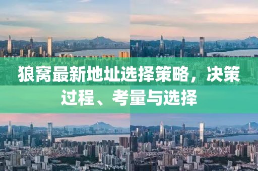狼窝最新地址选择策略，决策过程、考量与选择