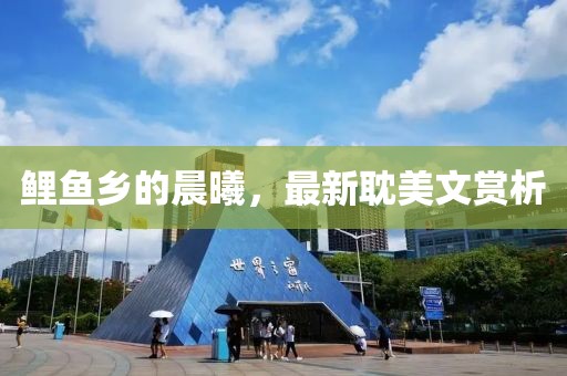 鲤鱼乡的晨曦，最新耽美文赏析