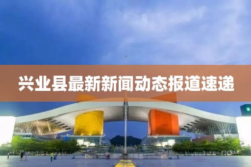 兴业县最新新闻动态报道速递