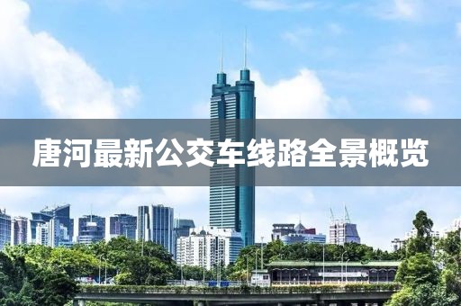 唐河最新公交车线路全景概览