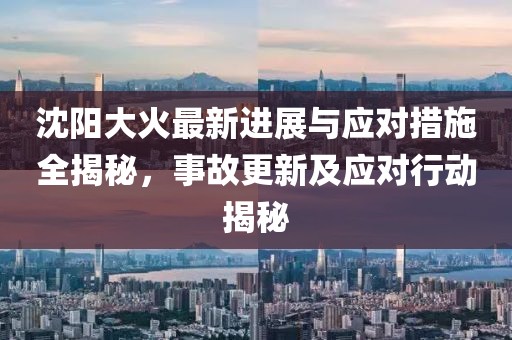 沈阳大火最新进展与应对措施全揭秘，事故更新及应对行动揭秘