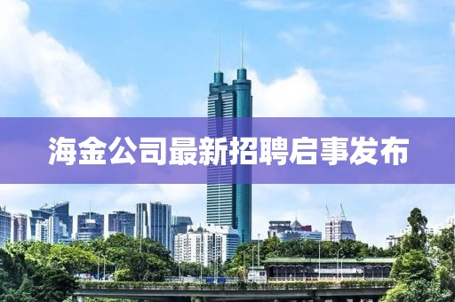 海金公司最新招聘启事发布