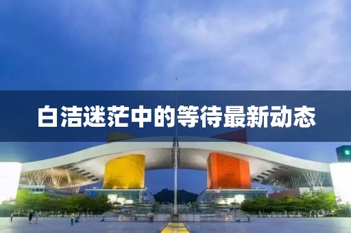 白洁迷茫中的等待最新动态