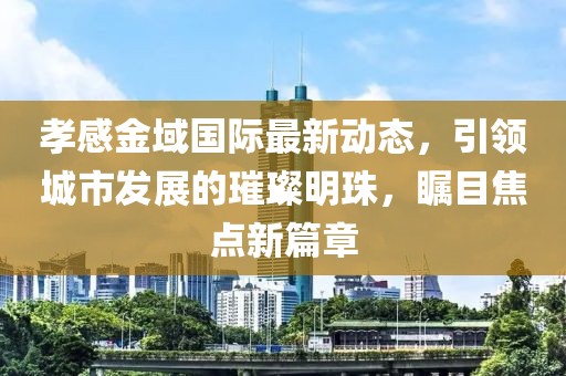 孝感金域国际最新动态，引领城市发展的璀璨明珠，瞩目焦点新篇章