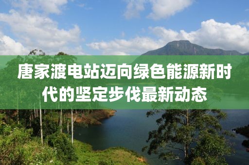 唐家渡电站迈向绿色能源新时代的坚定步伐最新动态
