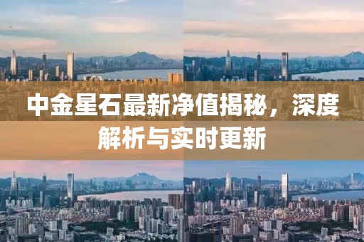 中金星石最新净值揭秘，深度解析与实时更新