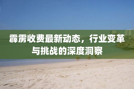 霹雳收费最新动态，行业变革与挑战的深度洞察