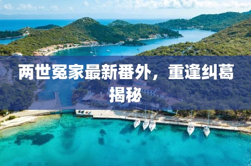 两世冤家最新番外，重逢纠葛揭秘