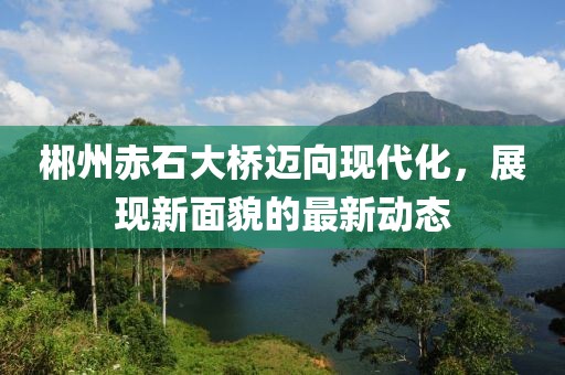 郴州赤石大桥迈向现代化，展现新面貌的最新动态