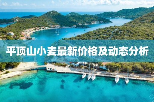 平顶山小麦最新价格及动态分析