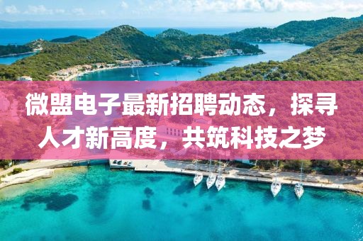 微盟电子最新招聘动态，探寻人才新高度，共筑科技之梦