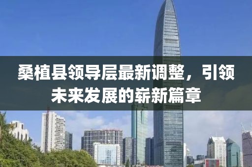 桑植县领导层最新调整，引领未来发展的崭新篇章