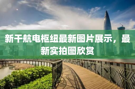 新干航电枢纽最新图片展示，最新实拍图欣赏