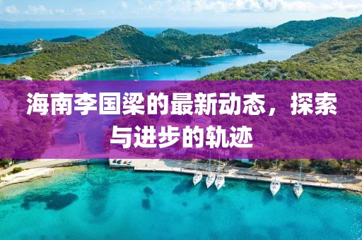 海南李国梁的最新动态，探索与进步的轨迹