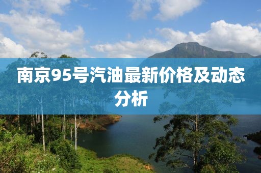 南京95号汽油最新价格及动态分析