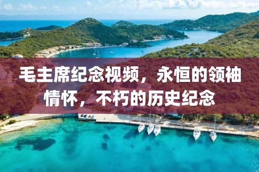 毛主席纪念视频，永恒的领袖情怀，不朽的历史纪念