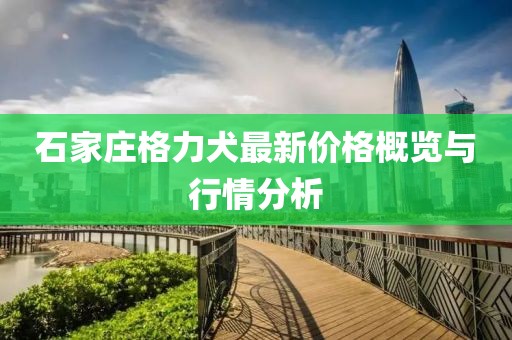 石家庄格力犬最新价格概览与行情分析