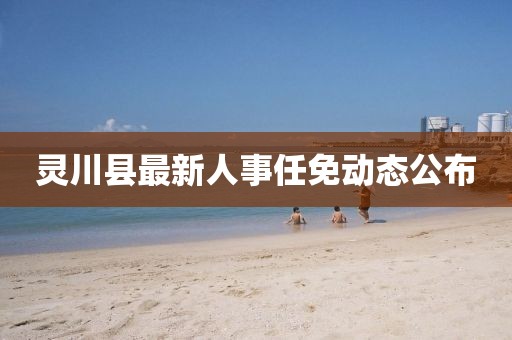 灵川县最新人事任免动态公布