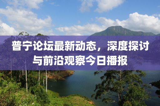 普宁论坛最新动态，深度探讨与前沿观察今日播报