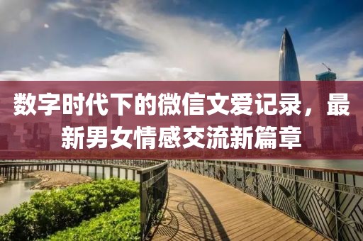 数字时代下的微信文爱记录，最新男女情感交流新篇章