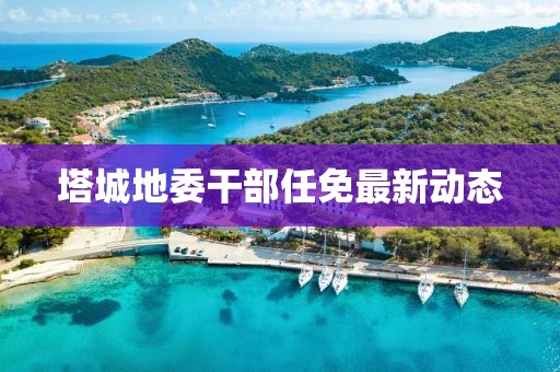 塔城地委干部任免最新动态