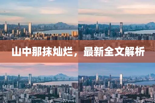 山中那抹灿烂，最新全文解析