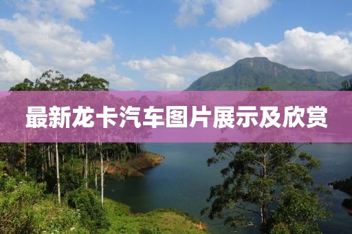 最新龙卡汽车图片展示及欣赏