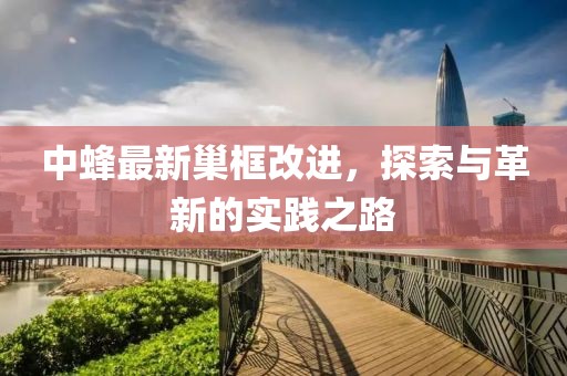 中蜂最新巢框改进，探索与革新的实践之路