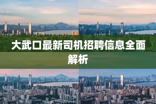 大武口最新司机招聘信息全面解析
