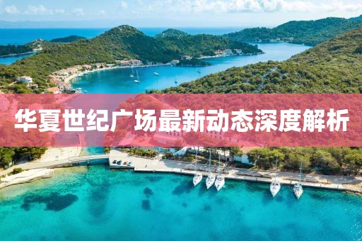 华夏世纪广场最新动态深度解析