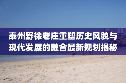 泰州野徐老庄重塑历史风貌与现代发展的融合最新规划揭秘