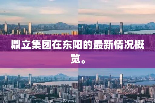 鼎立集团在东阳的最新情况概览。