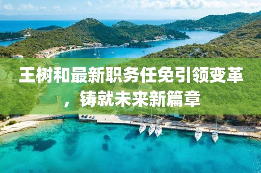 王树和最新职务任免引领变革，铸就未来新篇章