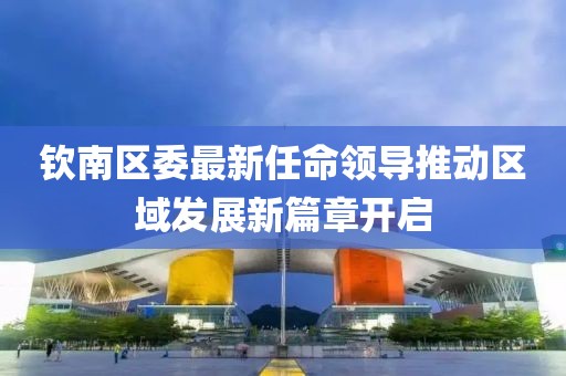 钦南区委最新任命领导推动区域发展新篇章开启