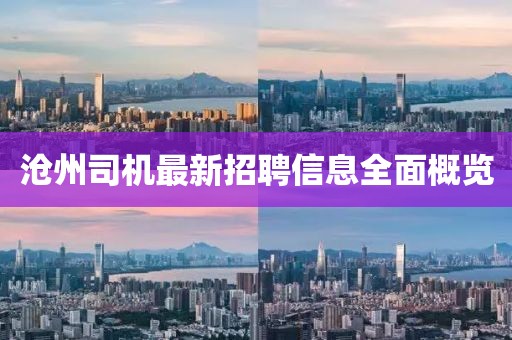 沧州司机最新招聘信息全面概览