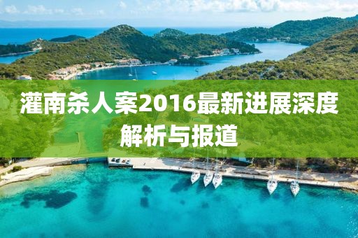灌南杀人案2016最新进展深度解析与报道