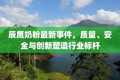 辰鹰奶粉最新事件，质量、安全与创新塑造行业标杆
