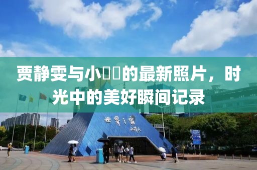 贾静雯与小咘咘的最新照片，时光中的美好瞬间记录