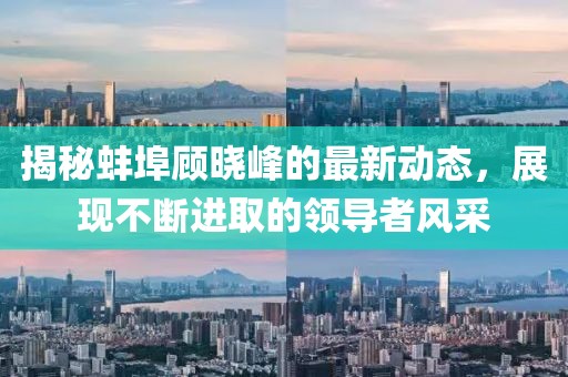 揭秘蚌埠顾晓峰的最新动态，展现不断进取的领导者风采