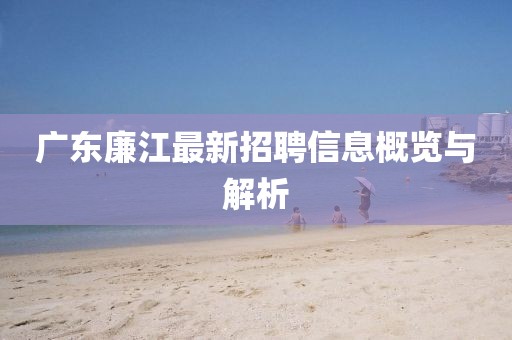 广东廉江最新招聘信息概览与解析