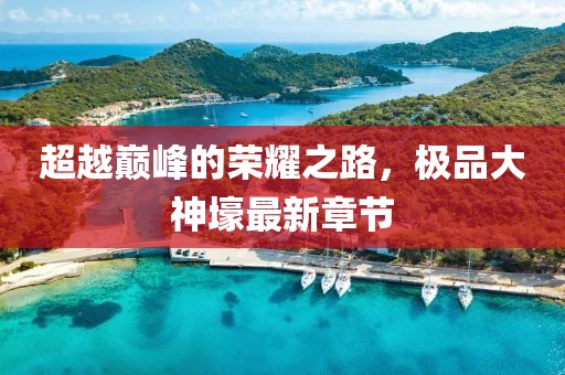 超越巅峰的荣耀之路，极品大神壕最新章节