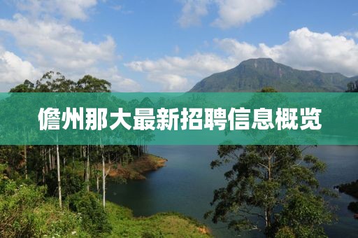 儋州那大最新招聘信息概览