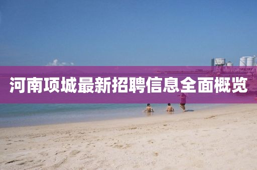 河南项城最新招聘信息全面概览