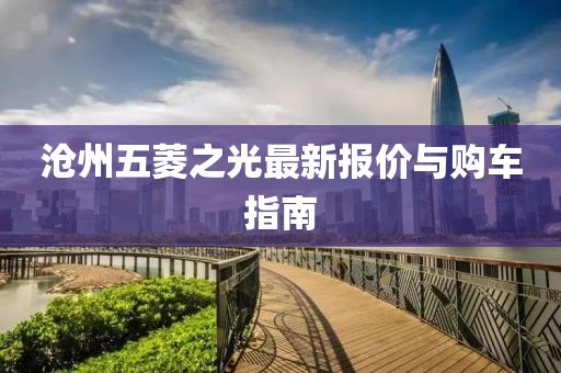 沧州五菱之光最新报价与购车指南