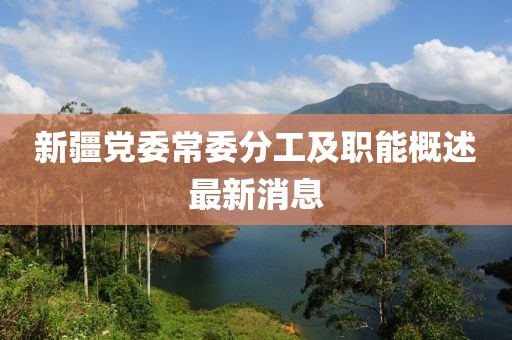 新疆党委常委分工及职能概述最新消息