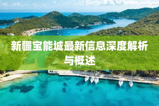 新疆宝能城最新信息深度解析与概述