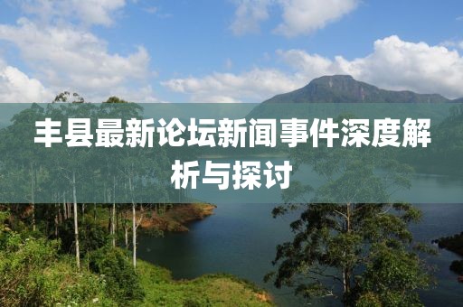 丰县最新论坛新闻事件深度解析与探讨