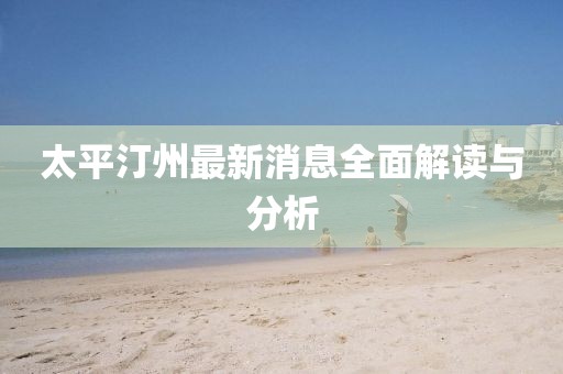 太平汀州最新消息全面解读与分析