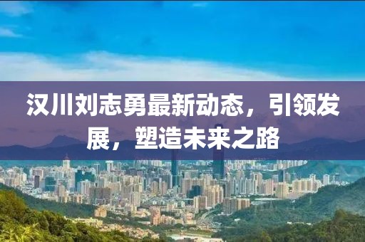 汉川刘志勇最新动态，引领发展，塑造未来之路